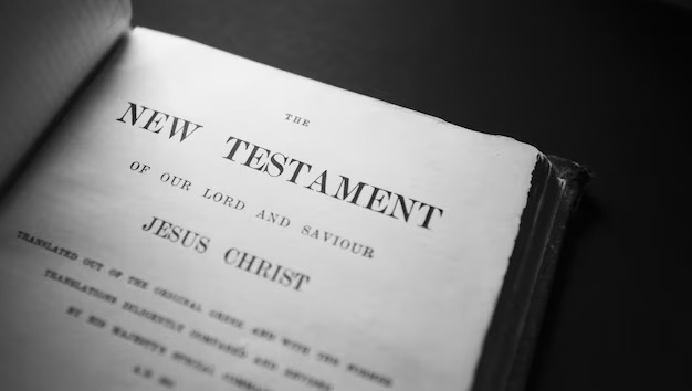 new testament