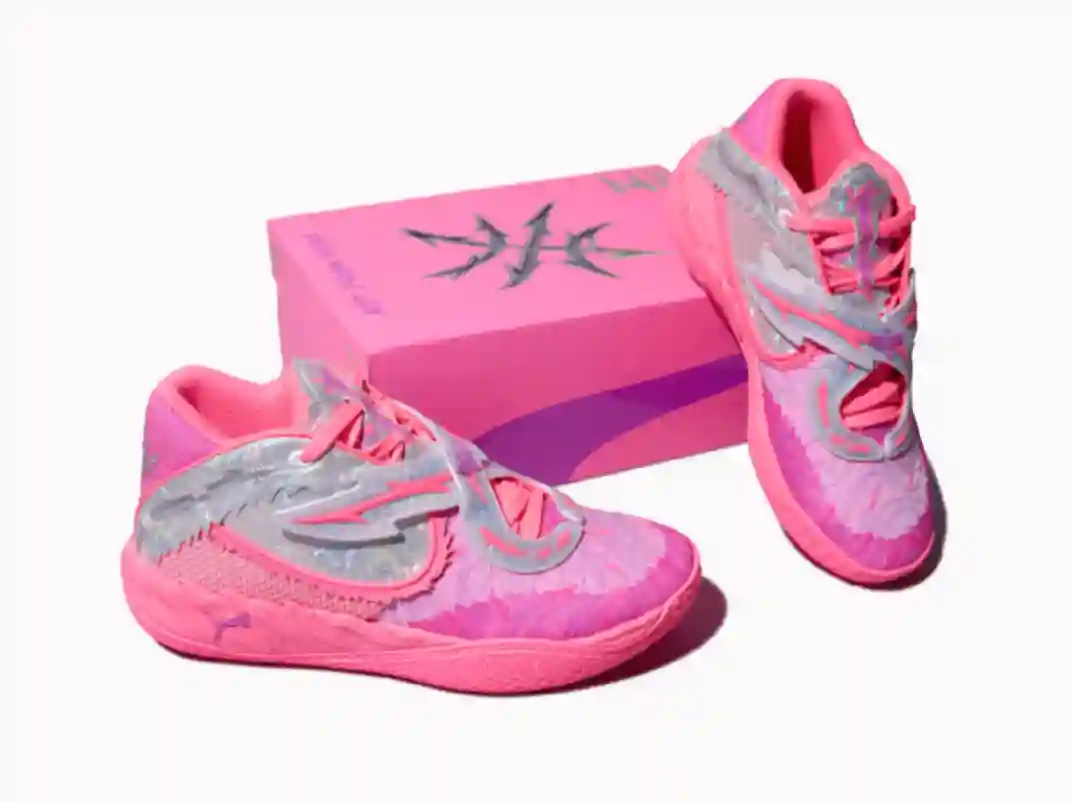 puma puma