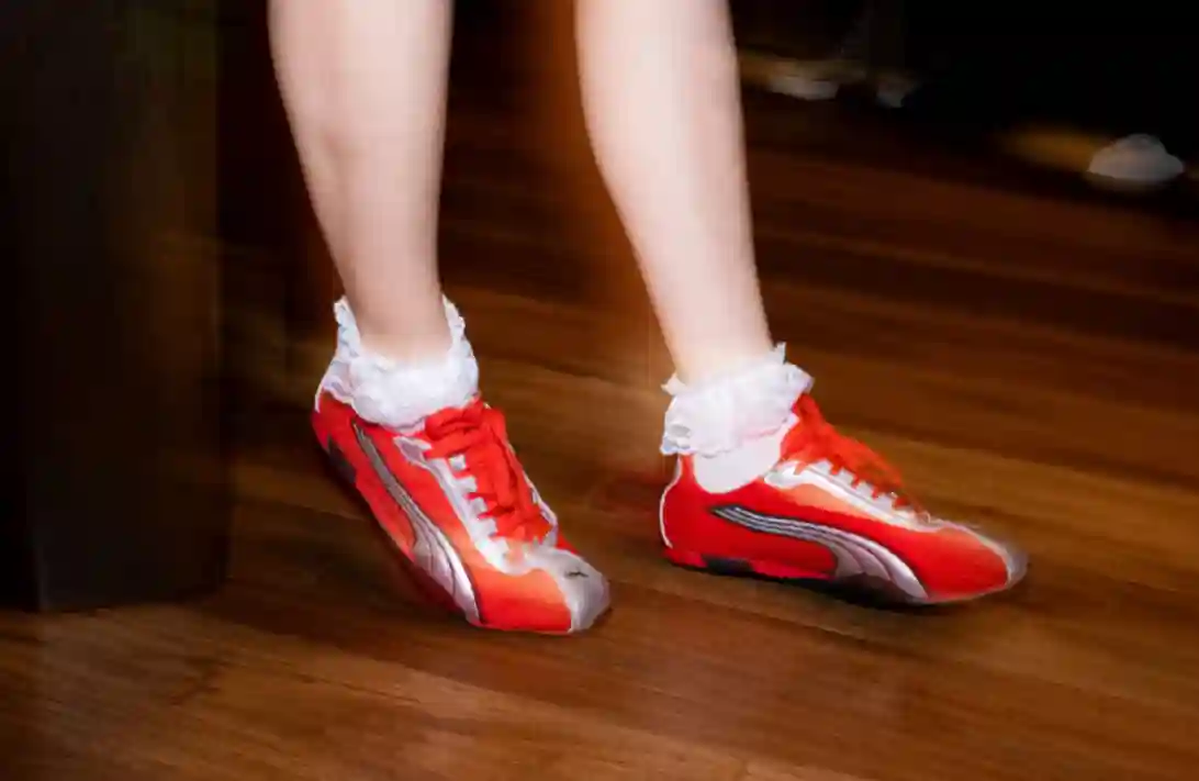 puma puma