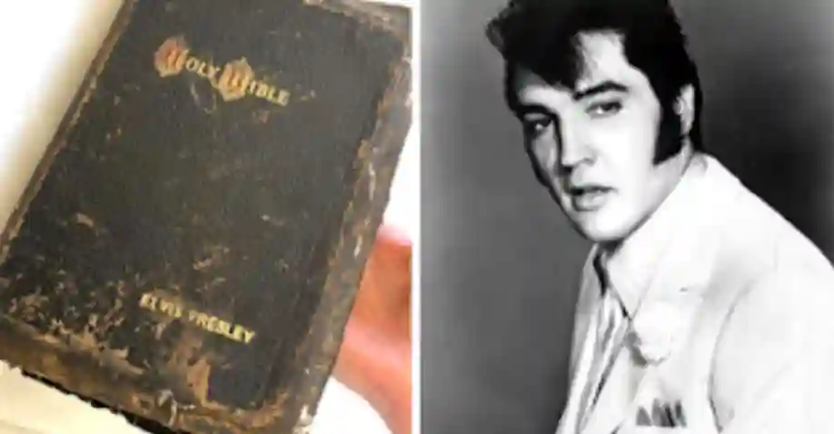 elvis 4 elvis 4