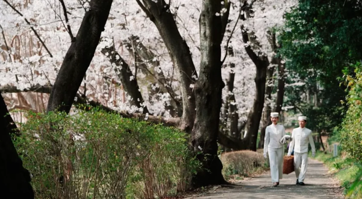 Screen Shot 2026-02-23 at 11.22.05 AM