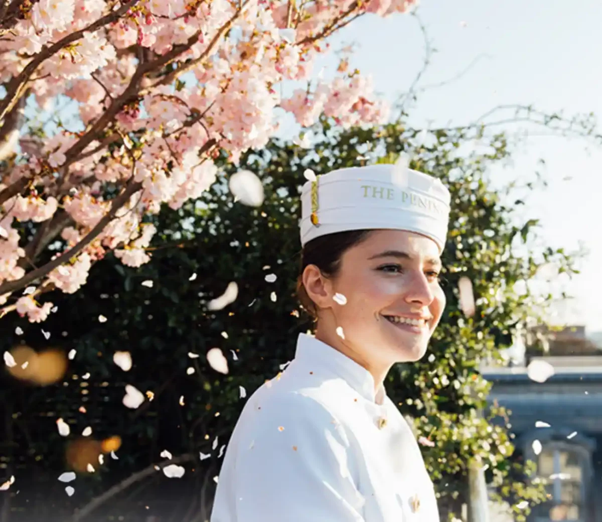 Screen Shot 2026-03-11 at 5.10.42 PM