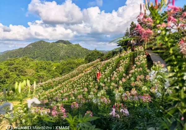 Buwakan ni Alejandra, Balamban, Cebu