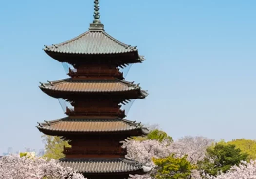 Screen Shot 2026-01-22 at 6.31.27 PM