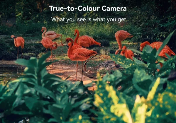 True-to-Color Camera