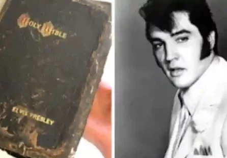 elvis 4 elvis 4