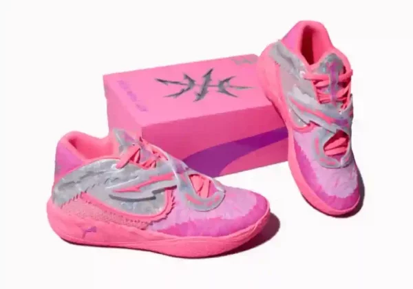 puma puma