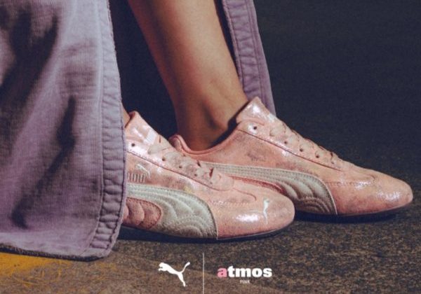 puma puma