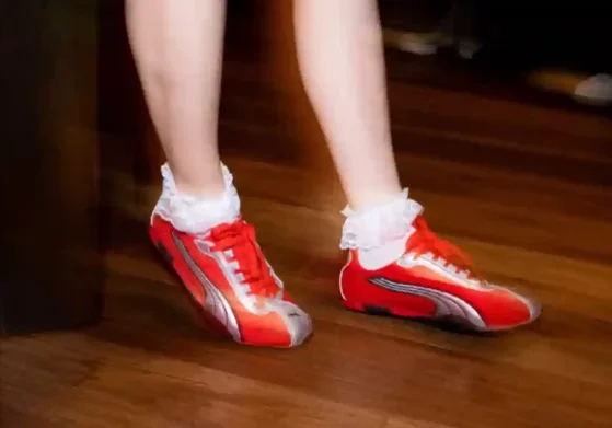 puma puma
