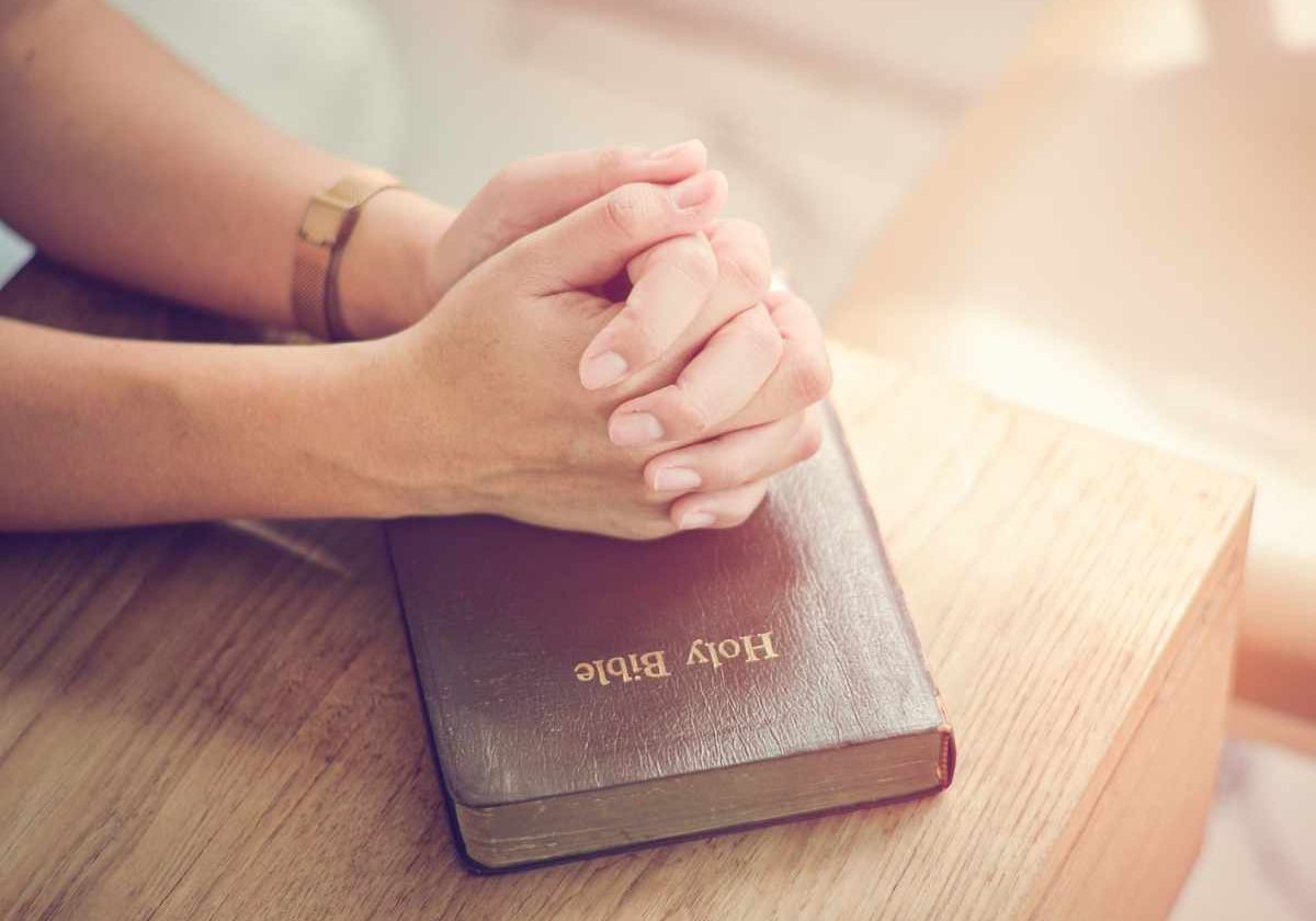 purity purity